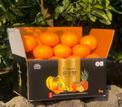 [고국배송] 제주 서귀포 레드향2.5kg 4.5kg 가정용 설선물 명절선물