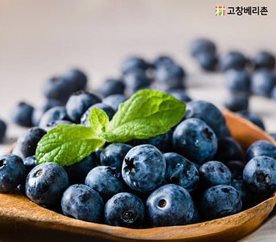 [고국배송] 무농약 고창 햇 블루베리 생과 2kg(왕특/특 사이즈 선택)