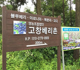 [고국배송] 무농약 고창 햇 블루베리 생과 2kg(왕특/특 사이즈 선택)