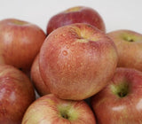 [고국배송] GAP, 저탄소 인증 충주 사과 5kg (옵션)