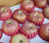 [고국배송] GAP, 저탄소 인증 충주 사과 5kg (옵션)