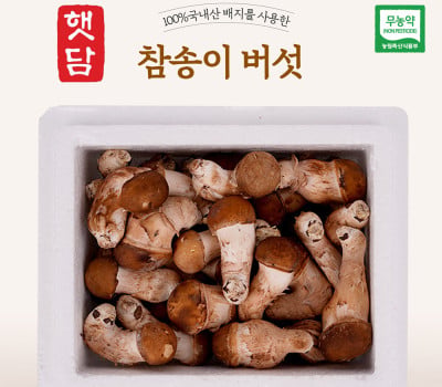 [고국배송] [증정행사]무농약 참송이버섯 가정용&중대사이즈[1kg+건조송화]