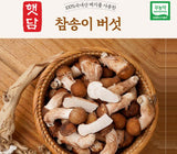 [고국배송] [증정행사]무농약 참송이버섯 가정용&중대사이즈[1kg+건조송화]