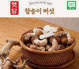 [고국배송] [햇담송]국내산 참송이버섯 정품 특사이즈 최상급 500g 1kg