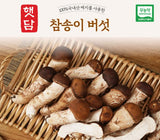[고국배송] [햇담송]국내산 참송이버섯 정품 특사이즈 최상급 500g 1kg