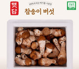 [고국배송] [햇담송]국내산 참송이버섯 정품 특사이즈 최상급 500g 1kg