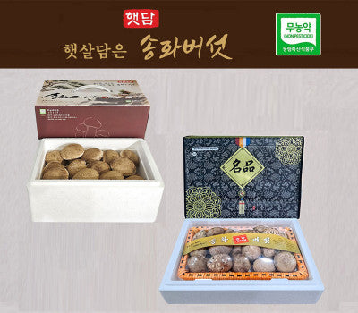 [고국배송] [선물세트]햇담송화버섯 프리미엄 VIP 선물세트 최고급형