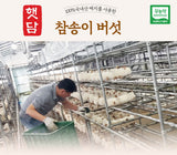 [고국배송] [햇담송]무농약 국내산 참송이버섯 VIP 선물세트 특등급 1kg