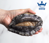 [고국배송] 특가 완도 활 전복 1kg 7미~8미(손질칼증정)