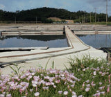 [고국배송] 10년 숙성 염포염전 명품 갯벌 천일염 10kg (2012년산, 친환경타일)