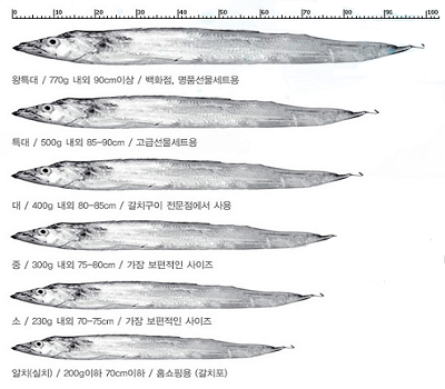 [고국배송] 청정제주 은갈치(특대2미)+고등어(1.8kg/대9팩)