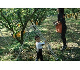 [고국배송] GAP인증 특 한방배 7.5kg (12~14과)